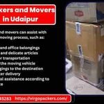Professional packers and Movers in Udaipur