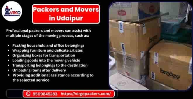 Professional packers and Movers in Udaipur